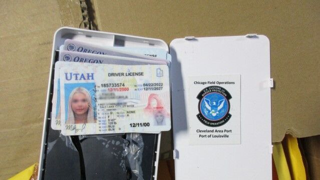 Northeastern Fake Id